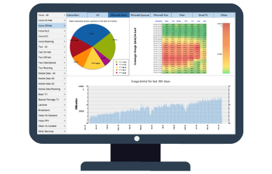 A chart showing a user's wireless usage statistics, usings Beesion's Telecom CRM solutions with a 360° customer view