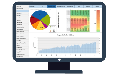 A chart showing a user's wireless usage statistics, usings Beesion's Telecom CRM solutions with a 360° customer view